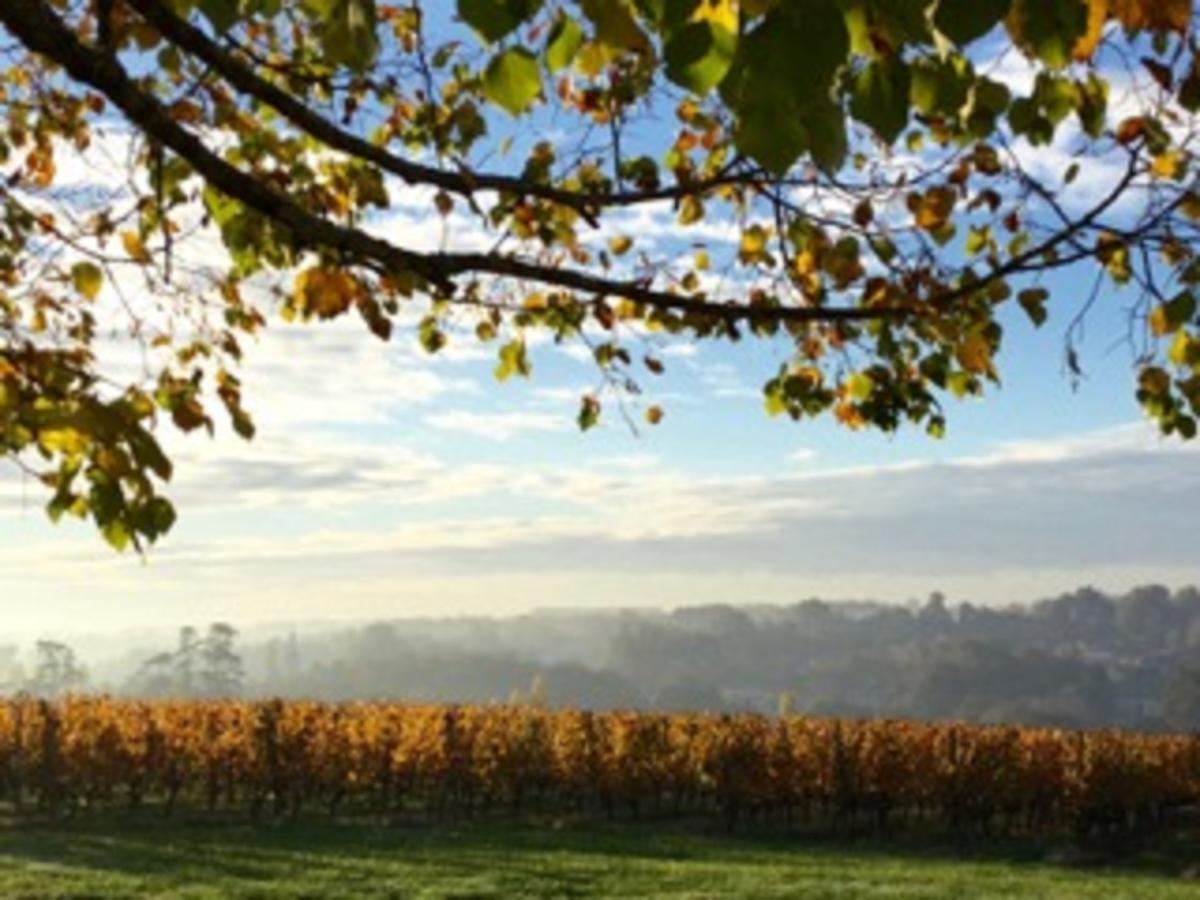 Chateau De La Ligne Lignan-de-Bordeaux Zewnętrze zdjęcie